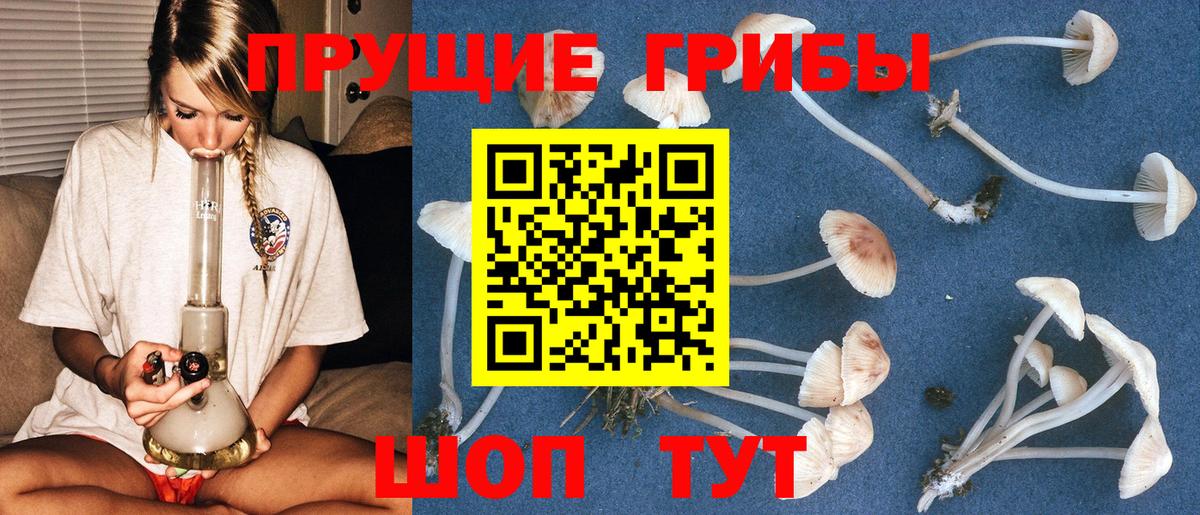 Краснодар  где найти   Вход с VPN  Псилоцибиновые грибы Psilocybine cubensis  Псилоцибиновые грибы Psilocybe 