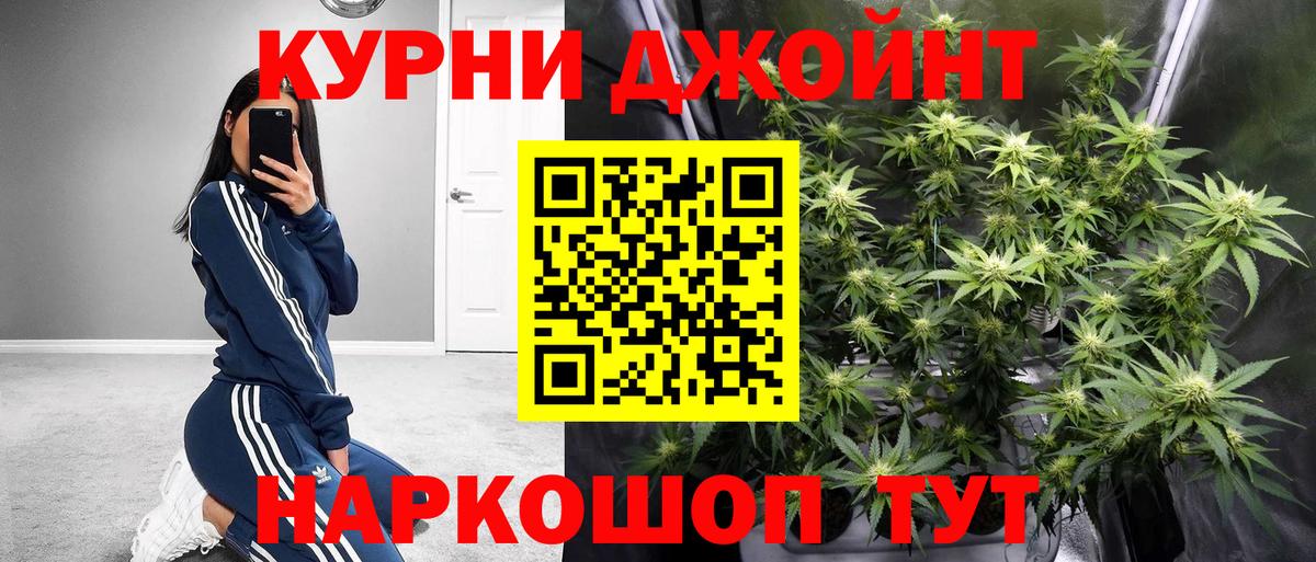 Марихуана сатива Краснодар